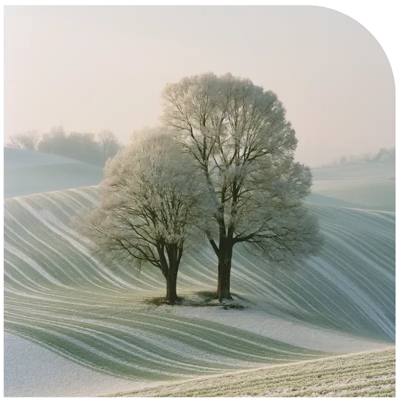 Small Business Websites Don’t Have To Cost The Earth